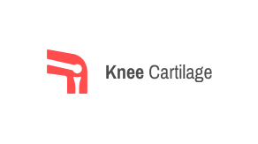 Automated Knee MR